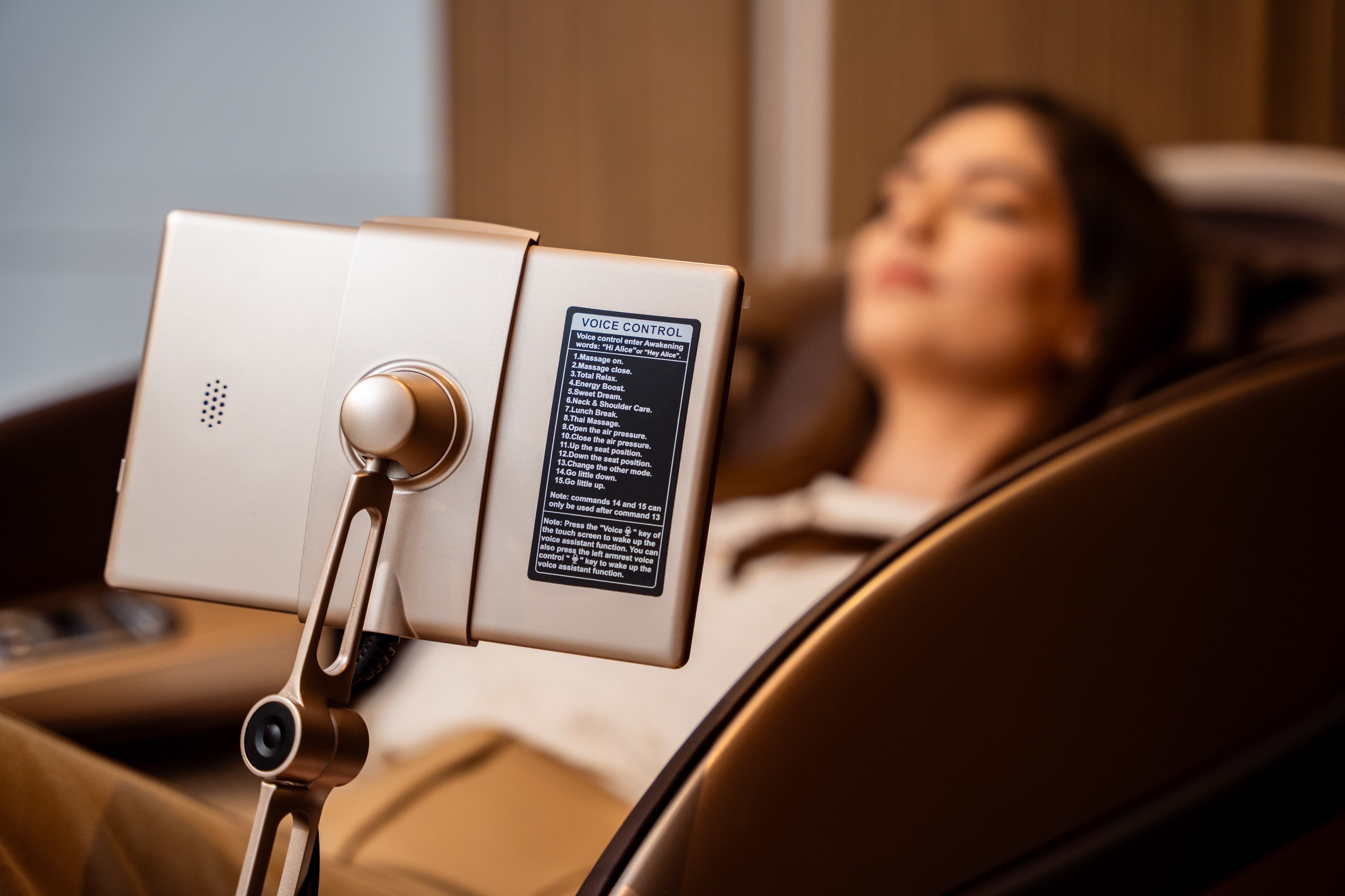 Voice-Activated Assistant